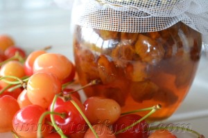 Bu sene bahçemizde ki sarı kiraz ağacı, meyvelerden dallarını taşıyamayak