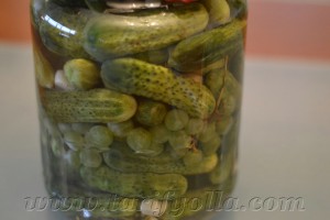 Annemin meşhur salatalık turşusu..Kütür kütür, hiç bozulmadan aylarca kalabilir..Lezzeti de