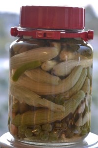 Bu sene  hafif acılı acur turşusu da yapayım dedim.3.5 kg.