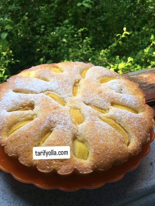 kayısılı tart kek tarifi